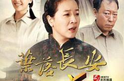 叶落长安MP4格式