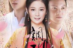 调皮王妃MP4格式