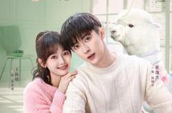 可爱的坏家伙MP4格式