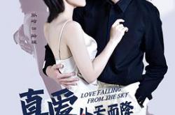 真爱从天而降MP4格式
