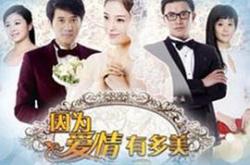 因为爱情有多美MP4格式