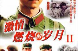 激情燃烧的岁月2MP4格式