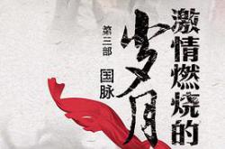 激情燃烧的岁月3MP4格式