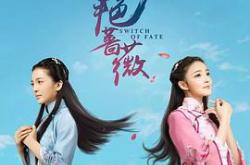 忍冬艳蔷薇MP4格式