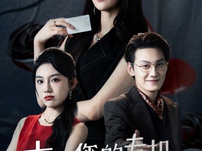 夫人您的专机飞走了