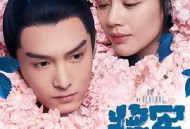 将军在上MP4格式