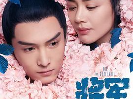 将军在上MP4格式