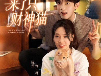 我家来了只财神猫