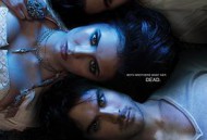 吸血鬼日记  第二季