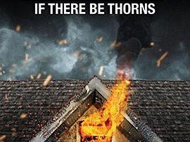 如果有荆棘