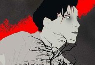 达特穆尔的小屋