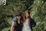 森林的终点是海