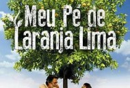 我亲爱的甜橙树