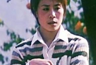 柿子坞的女人们