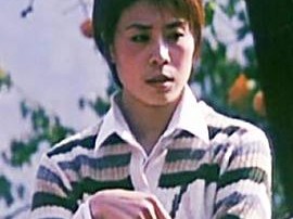 柿子坞的女人们