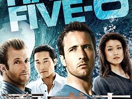 夏威夷特勤组第四季