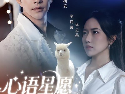 心语星愿之羊驼