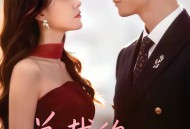 总裁的替身秘书