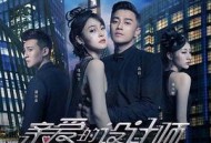 亲爱的设计师MP4格式