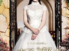 妻子的秘密2014MP4格式