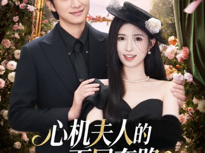 心机夫人的一百层套路