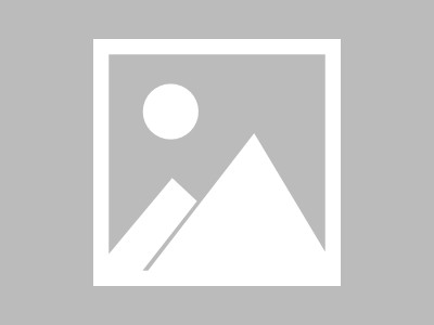 今天也在拯救世界