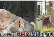 hello kitty藏尸案：凶手庭审中途发出诡异嬉笑声_灵异鬼话_UFO发现网