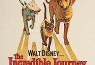 一猫二狗三分亲