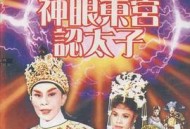 神眼东宫认太子