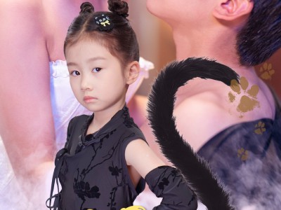 萌宝是满级玄猫