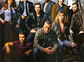 芝加哥警署第三季