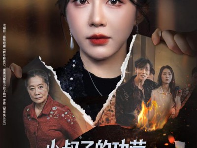 小叔子的功劳百万年薪真相曝光