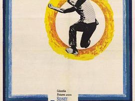 阳光下的葡萄干