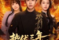 蛰伏三年，一飞冲天