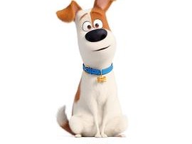 爱宠大机密2英语