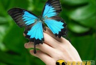 盘点中国民间传说中的十大惊人秘术_灵异鬼话_UFO发现网