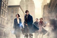 神奇动物在哪里