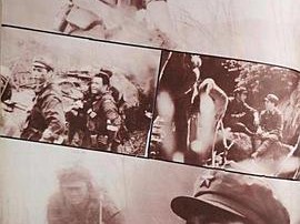 高山下的花环1984MP4格式