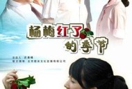 杨梅红了的季节