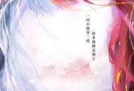 保护我方城主大人MP4格式