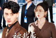 被裁后，公司天塌了