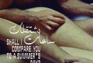 我用夏天比拟你