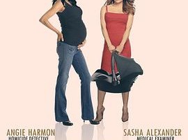 妙女神探第五季