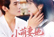 小萌妻她财运满级