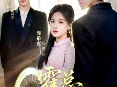 霍总，神医夫人改嫁啦