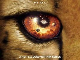 我们的浩瀚宇宙