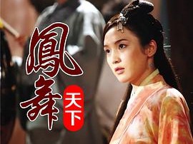 凤舞天下