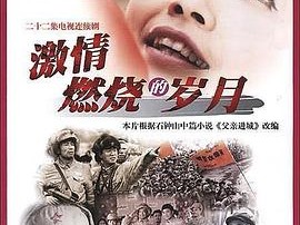 激情燃烧的岁月MP4格式