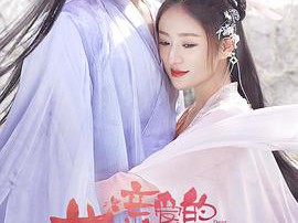 亲爱的药王大人MP4格式