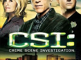 犯罪现场调查 第十三季